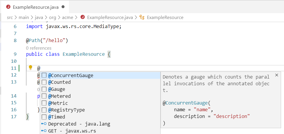 MicroProfile Metrics Java snippets support